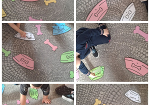 Kolaż przedstawia dzieci bawiące się na dywanie w dopasowywanie kolorowych wyciętych kości do pasujących kolorem misek dla psów.