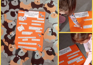 Kolaż prezentujący etapy przygotowania oraz już wykonany kodeks właściwego zachowaniami się wobec zwierząt wykonany przez dzieci z grupy Biedronki.