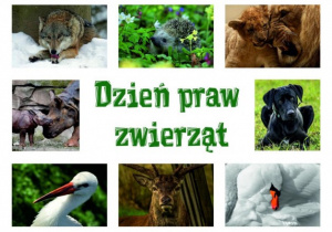 Grafika przedstawia napis „Dzień Praw Zwierząt”.