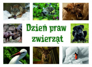 Dzień praw Zwierząt