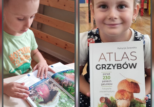 Zdjęcie to kolaż z dwóch fotografii, na którym dzieci przeglądają atlas grzybów.