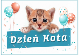 Grafika do Światowego Dnia Kota.