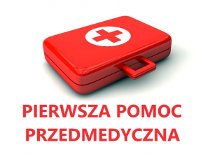 Spotkanie z ratownikiem medycznym ze Sztabu Ratownictwa Medycznego w Bełchatowie