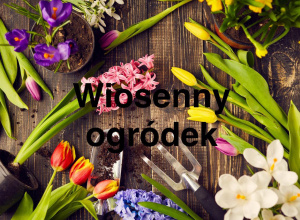 Wiosenny ogródek w grupie Liski