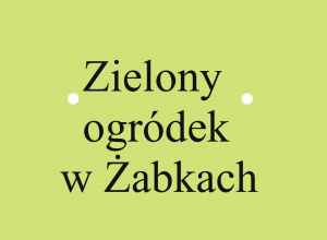 Zakładanie zielonego ogródka w grupie Żabki