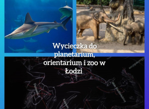 Pszczółki na wycieczce do Łodzi