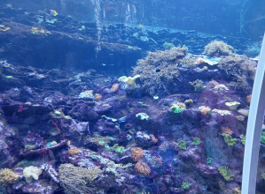 Odkrywcy na wycieczce do Zoo, Orientarium i Planetarium.