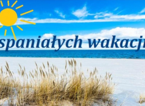 Zakończenie roku w Misiach