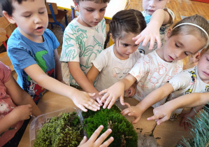 Dzieci oglądają przyniesiony z lasu mech – sprawdzają jaki jest w dotyku.