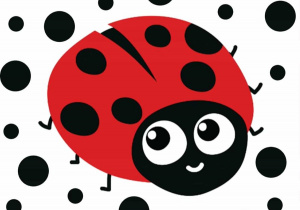 „Dzień Kropki” w Biedronkach