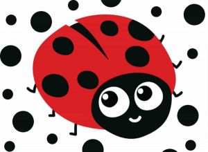 Dzień Kropki w Biedronkach