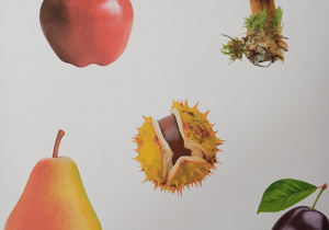 Na zdjęciu widzimy napis Pierwszy Dzień Jesieni wraz z darami jesieni.