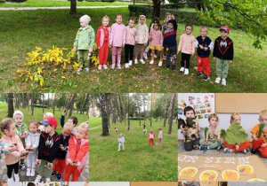 Kolaż zdjęć przedstawiający dzieci z grupy Stokrotki podczas zabaw i spaceru w poszukiwaniach darów jesieni.