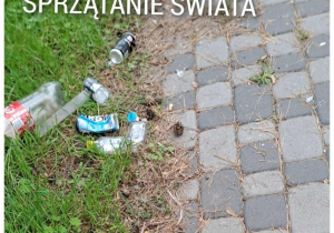 Zdjęcie na którym są porozsypywane śmieci.