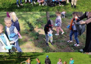 Kolaż zdjęć przedstawiający dzieci z grupy Misie podczas sprzątania świata.