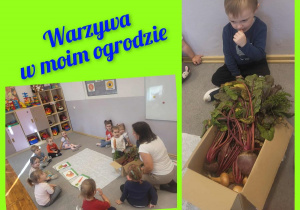 Zdjęcie dzieci segregujących warzywa