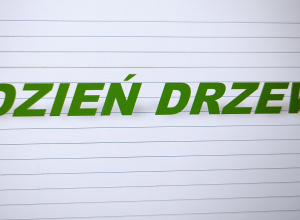 Dzień Drzewa w grupie Misie