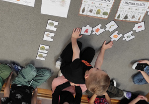 chłopiec siedzący na dywanie próbuje dopasować odpowiednie ilustracje przedstawiające liście i owoce do drzewa.