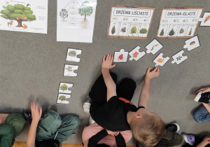 chłopiec siedzący na dywanie próbuje dopasować odpowiednie ilustracje przedstawiające liście i owoce do drzewa.