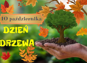 Dzień Drzewa w przedszkolu