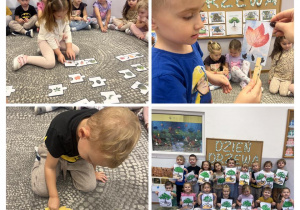 Kolaż zdjęć przedstawiający dzieci z grupy "Stokrotki" podczas aktywności z okazji Dnia Drzewa.