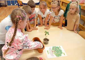 Dziewczynka z grupy Odkrywcy sadzi w donicy nasiona kasztanowca z okazji Dnia Drzewa.