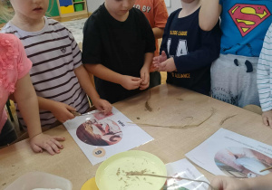 Dzieci badają kłosy pszenicy.