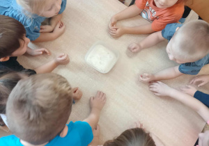 Dzieci obserwują zaczyn drożdżowy.