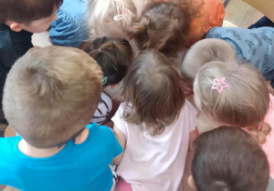 Dzieci wąchają zaczyn drożdżowy.