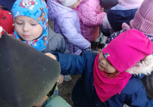 Dzieci wrzucają ziarenka do karmnika.