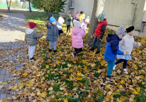 Dzieci szukają liści.