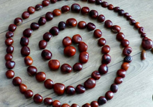 Zdjęcie przedstawia węża ułożonego z kasztanów.