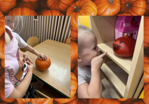 Kolaż przedstawia aktywności Słoneczek z dyniami i emocjami