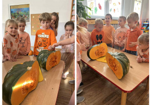 Przedszkolaki oglądają z bliska rozkrojoną dynię.
