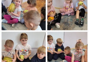 Kolaż zdjęć dzieci z grupy Słoneczka podczas oglądania rożnych okazów dyni.