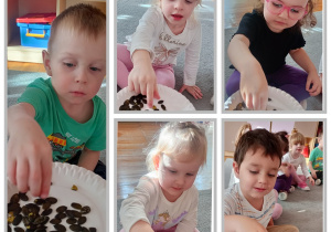 Kolaż pięciu zdjęć, na których dzieci częstują się pestkami dyni.