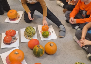 Dzieci segregują dynie.