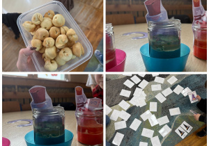 Kolaż przedstawia eksperymenty andrzejkowe, gry i upieczone przez nauczyciela ciasteczka z wróżbą