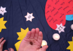 Wylosowane ziarenko symbolizujące dalekie podróże.