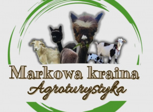 Żabki w Markowej Krainie