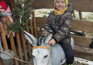 Chłopiec siedzi na osiołku.