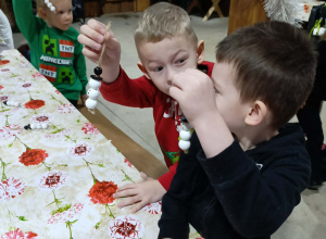 Misie w Markowej krainie