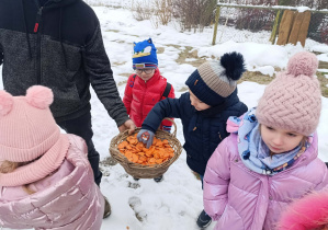 Dzieci z grupy „Misie” biorą marchewki, którymi będą karmić zwierzęta.