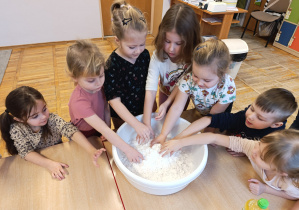 Dzieci sprawdzają jaka jest w dotyku mąka ziemniaczana.