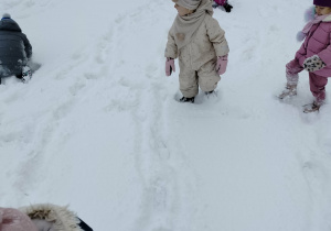 Zabawy na śniegu.