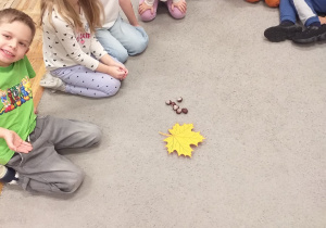 Zdjęcie przedstawia dzieci, ustalające wynik odejmowania kasztanów, które znikały pod jesiennym liściem.