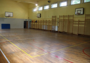 Zdjęcie sali gimnastycznej.