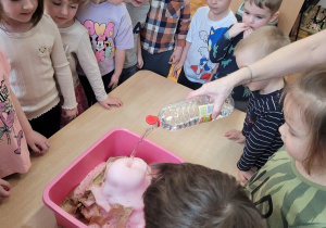 Słoneczka obserwują jak wybucha wulkan.