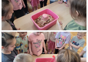 Słoneczka obserwują jak wybucha wulkan.