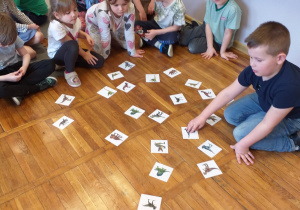 Zdjęcie przedstawia dziecko szukające pary dinozaurów.